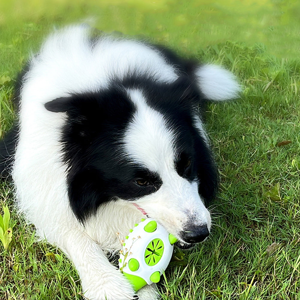 Interactive TPR Dog Toy – Food Dispensing & Teeth Cleaning Chew Toy