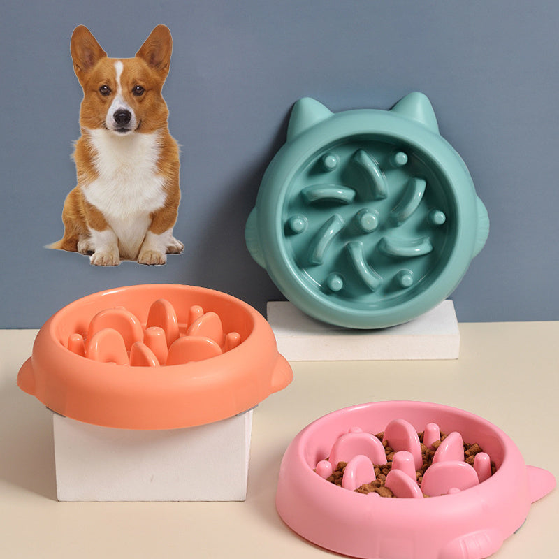 Slow Feeder Dog Bowl – Prevents Choking & Improves Digestion