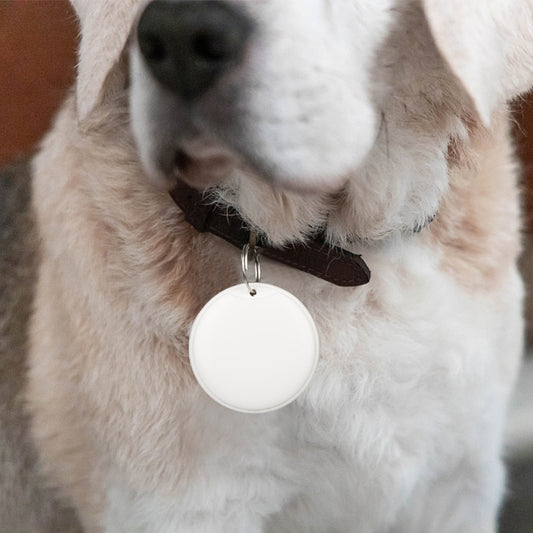 Smart GPS Tracker for Dogs – Real-Time Safety & Location Tracking!