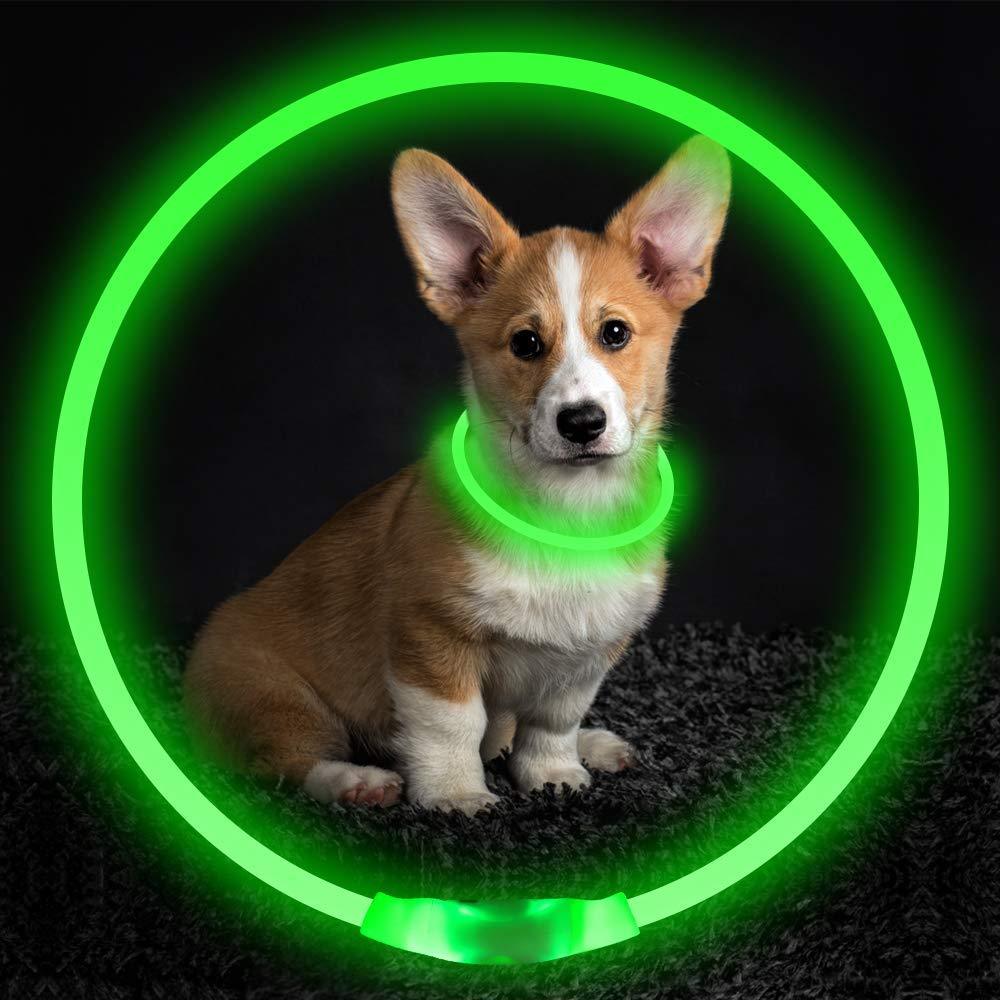 USB Rechargeable LED Dog Collar – Safety Light for Night Walks