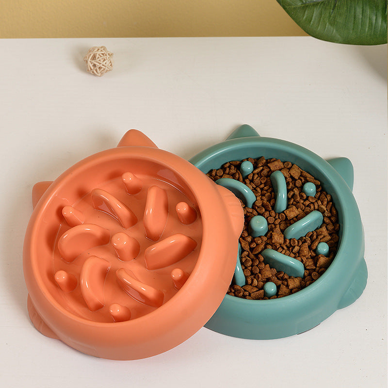 Slow Feeder Dog Bowl – Prevents Choking & Improves Digestion