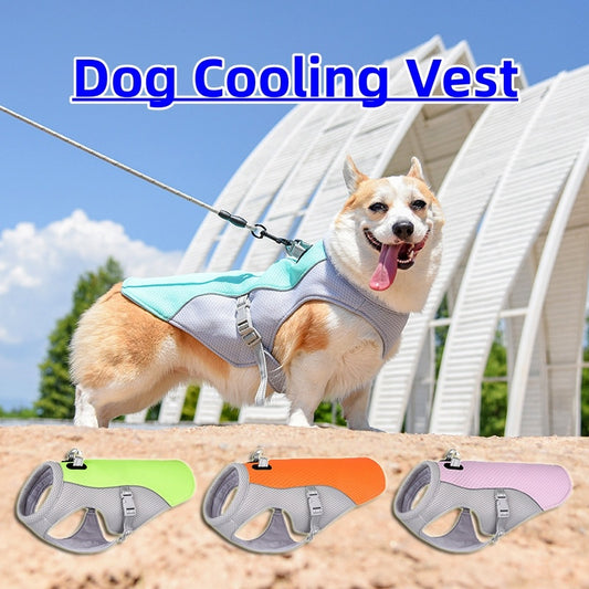 Cooling Vest for Dogs -Keep Your Dog Cool & Protected in the Heat!