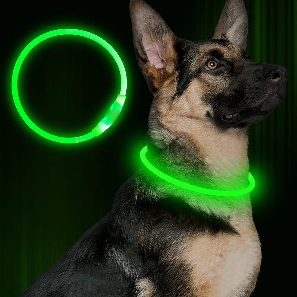 USB Rechargeable LED Dog Collar – Safety Light for Night Walks