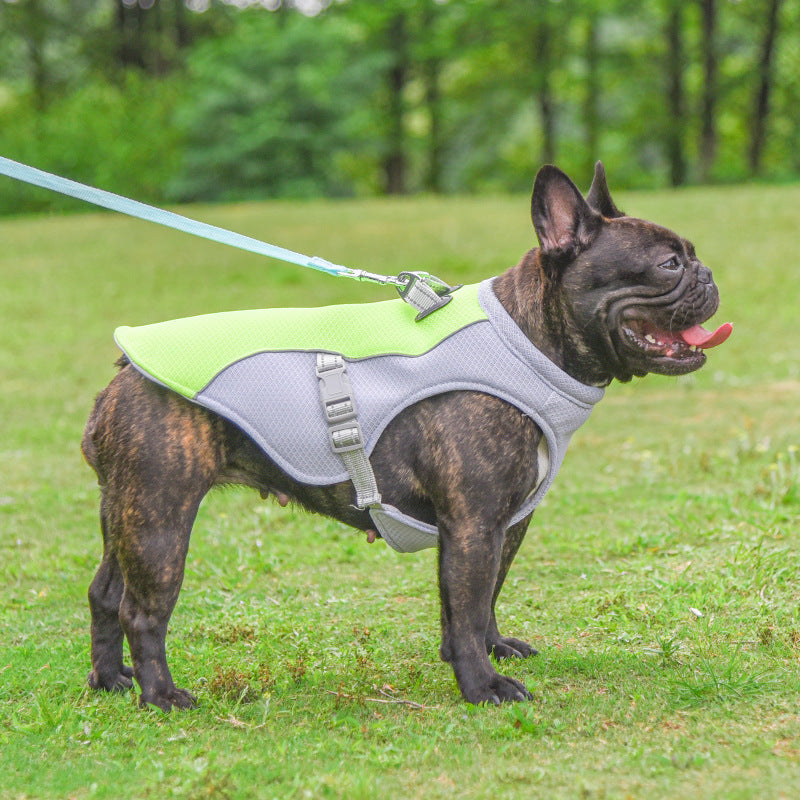 Cooling Vest for Dogs -Keep Your Dog Cool & Protected in the Heat!